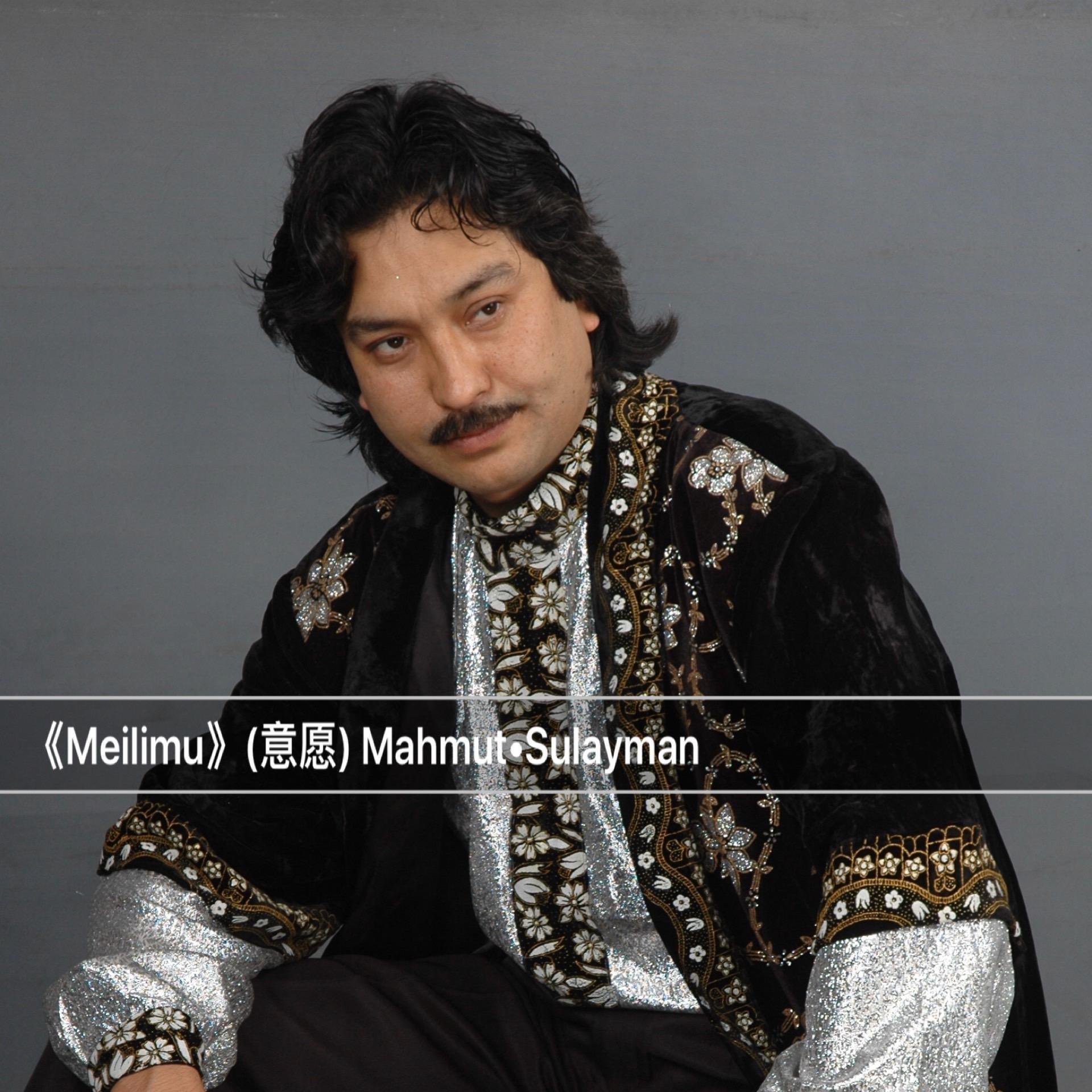 Mahmut Sulayman穆罕莫德 苏来曼