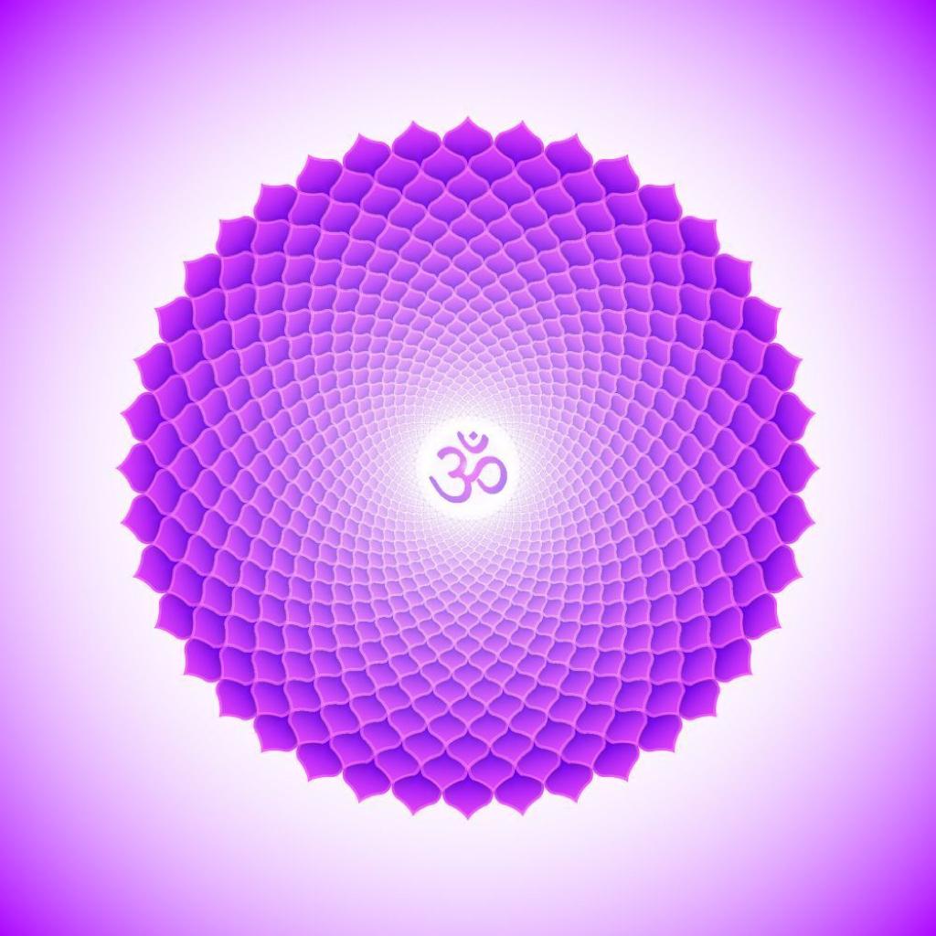 顶轮 crown chakra/sahasrara【全】