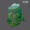 Slackk - Desert Eagle