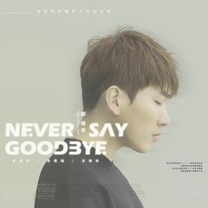 网络转摘-我的女孩 Never Say Goodbye