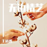 一壶老酒975伴奏 雅马哈原版伴奏