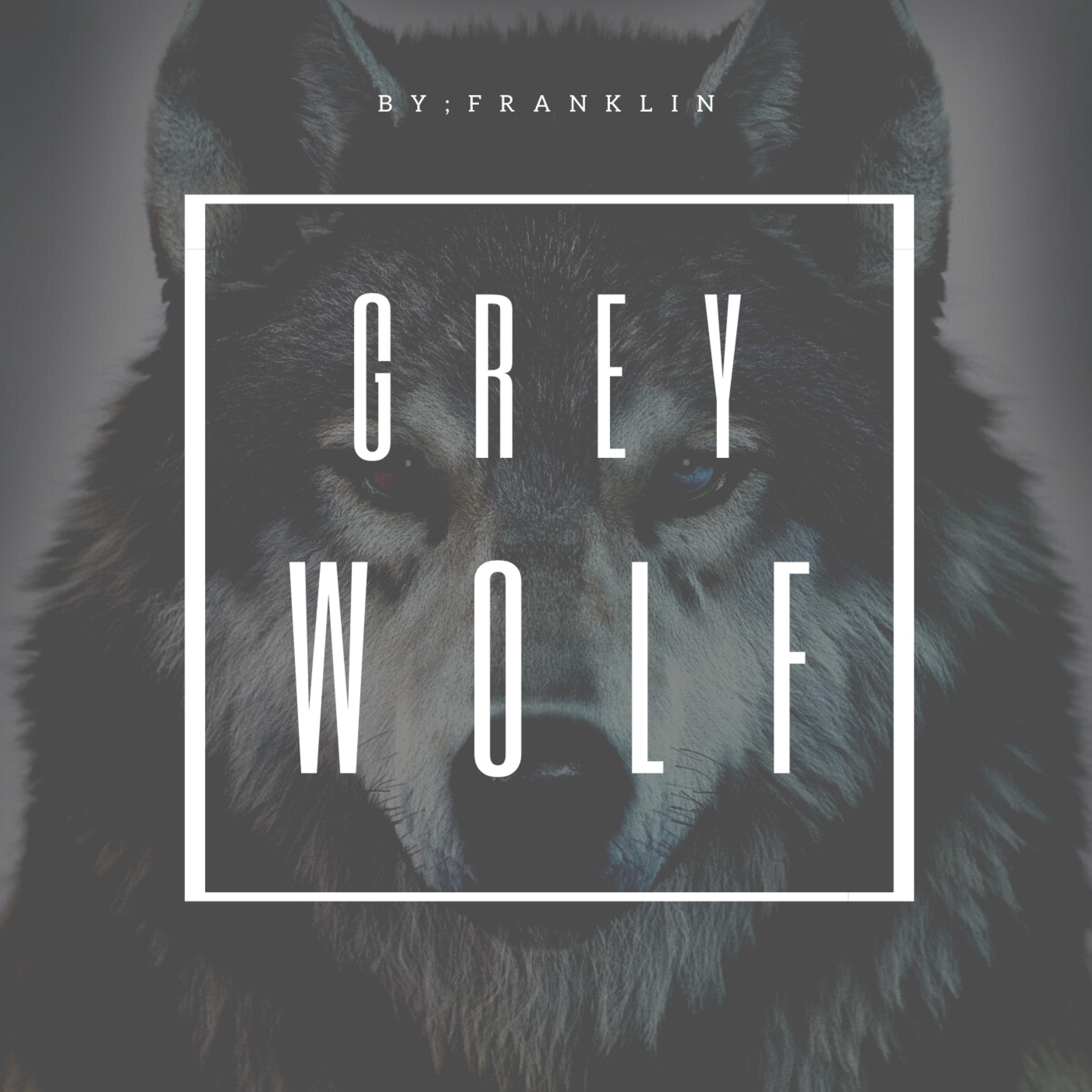 Franklin - Grey Wolf