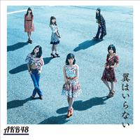 原版伴奏 AKB48 - 哀愁のトランペッタ0