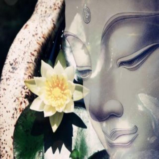 花开（新）专辑