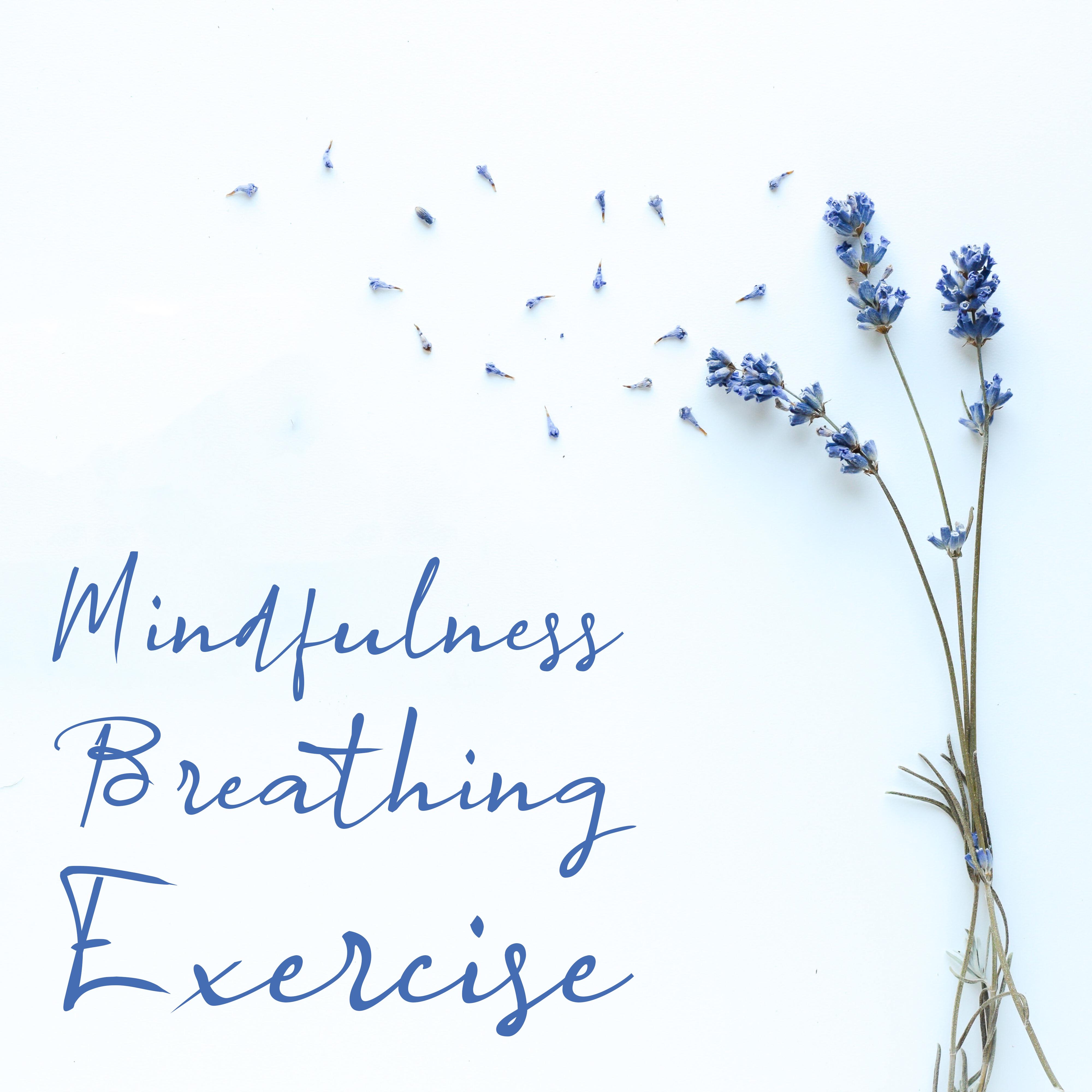 Mindfulness Breathing Exercise