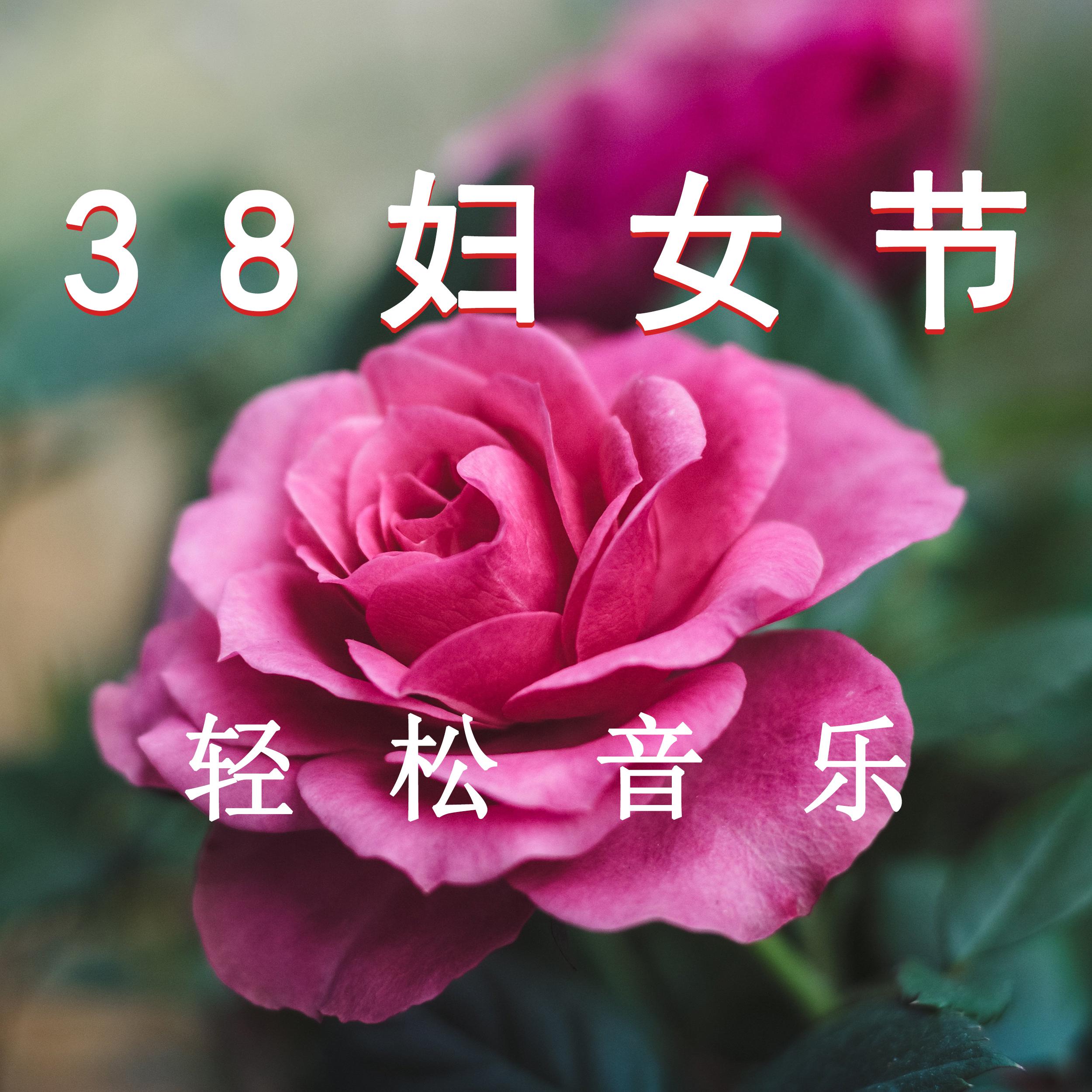 夏小桃歌曲封面