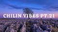 Chilin Vibes pt.21专辑