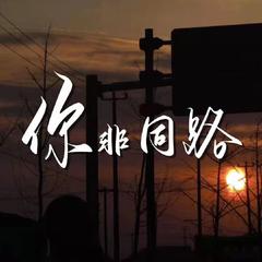 你非同路