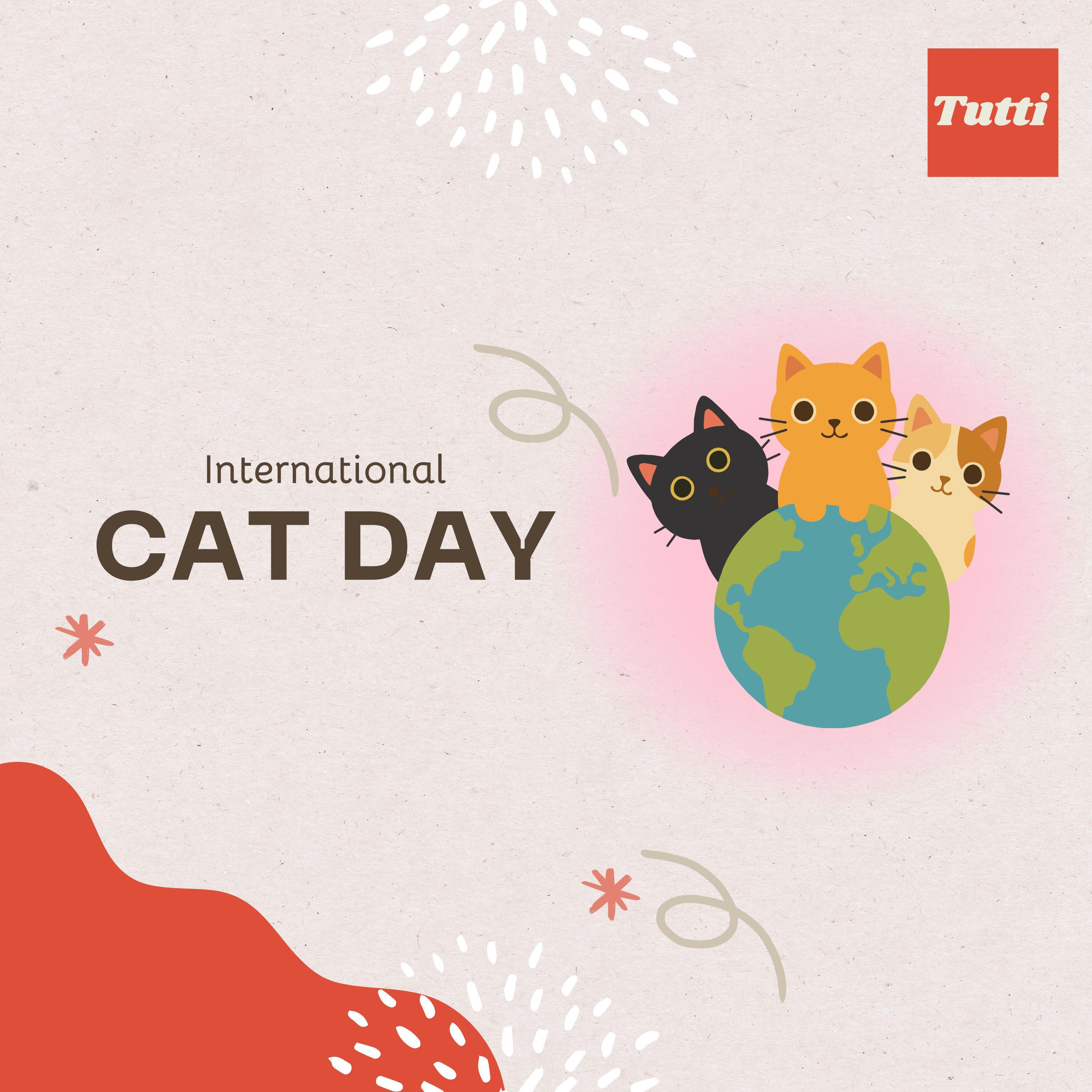 International Cat Day: February 20