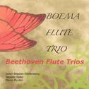 Boema Flute Trio/Beethoven Flute Trio专辑