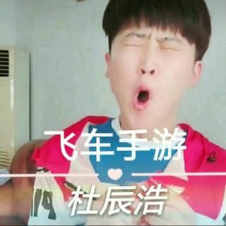 杜辰浩+推荐
