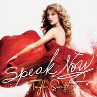 Better Than Revenge (Taylor's Version) (无和声纯伴奏) (原版立体声)