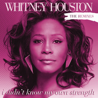 I Didn't Know My Own Strength - Whitney Houston (Karaoke Version) 带和声伴奏