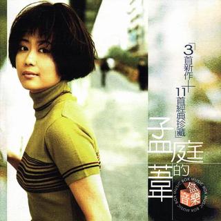孟庭苇-风靡90年代