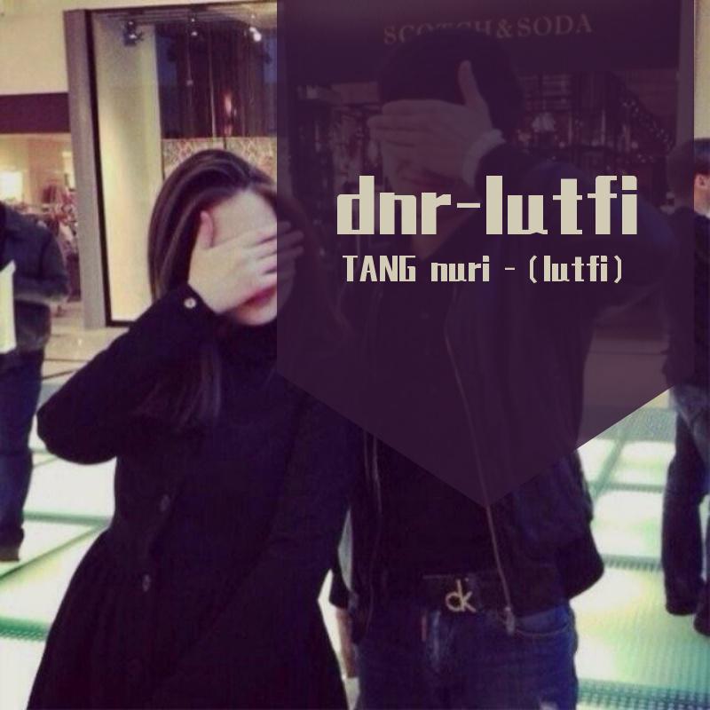 dnr-lutfi