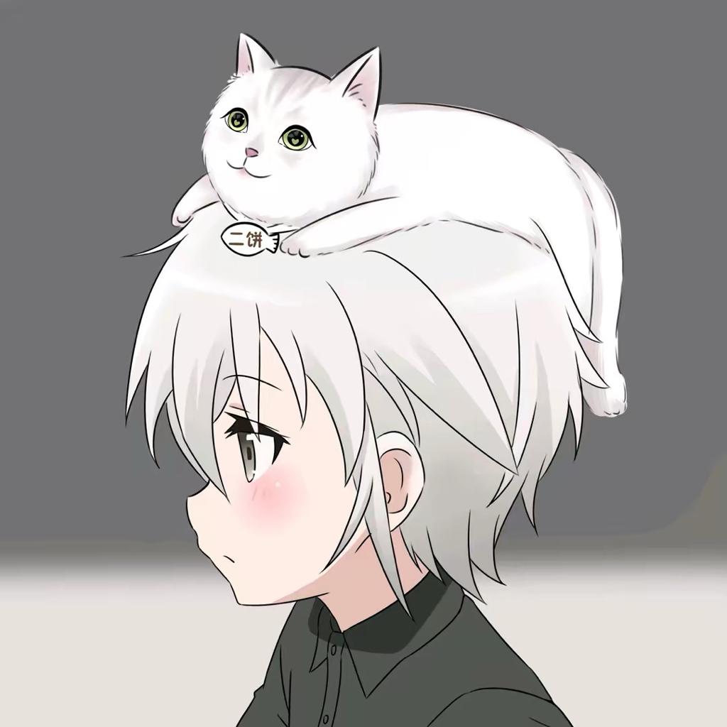 张一饼的playlist