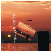 DJ小鱼儿-如果你真的要离开(DJ加快版)