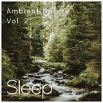 Sleep to Ambient Nature Sounds, Vol. 2专辑