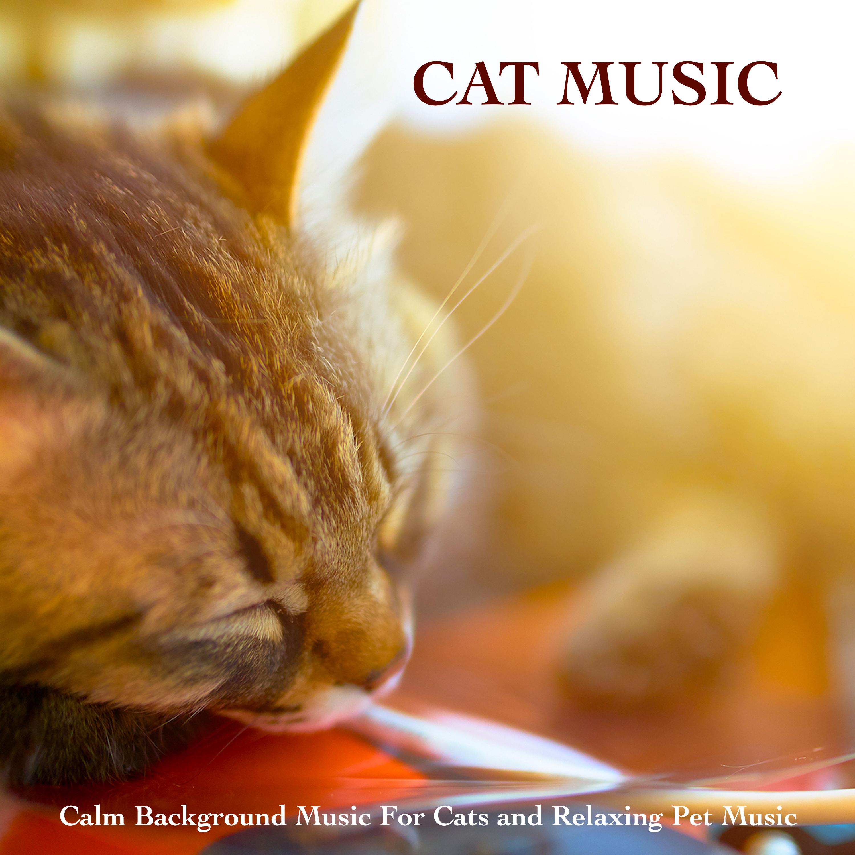 Cat Music: Calm Background Music For Cats and Relaxing Pet Music专辑