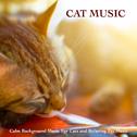 Cat Music: Calm Background Music For Cats and Relaxing Pet Music专辑