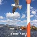 无人懂我意
