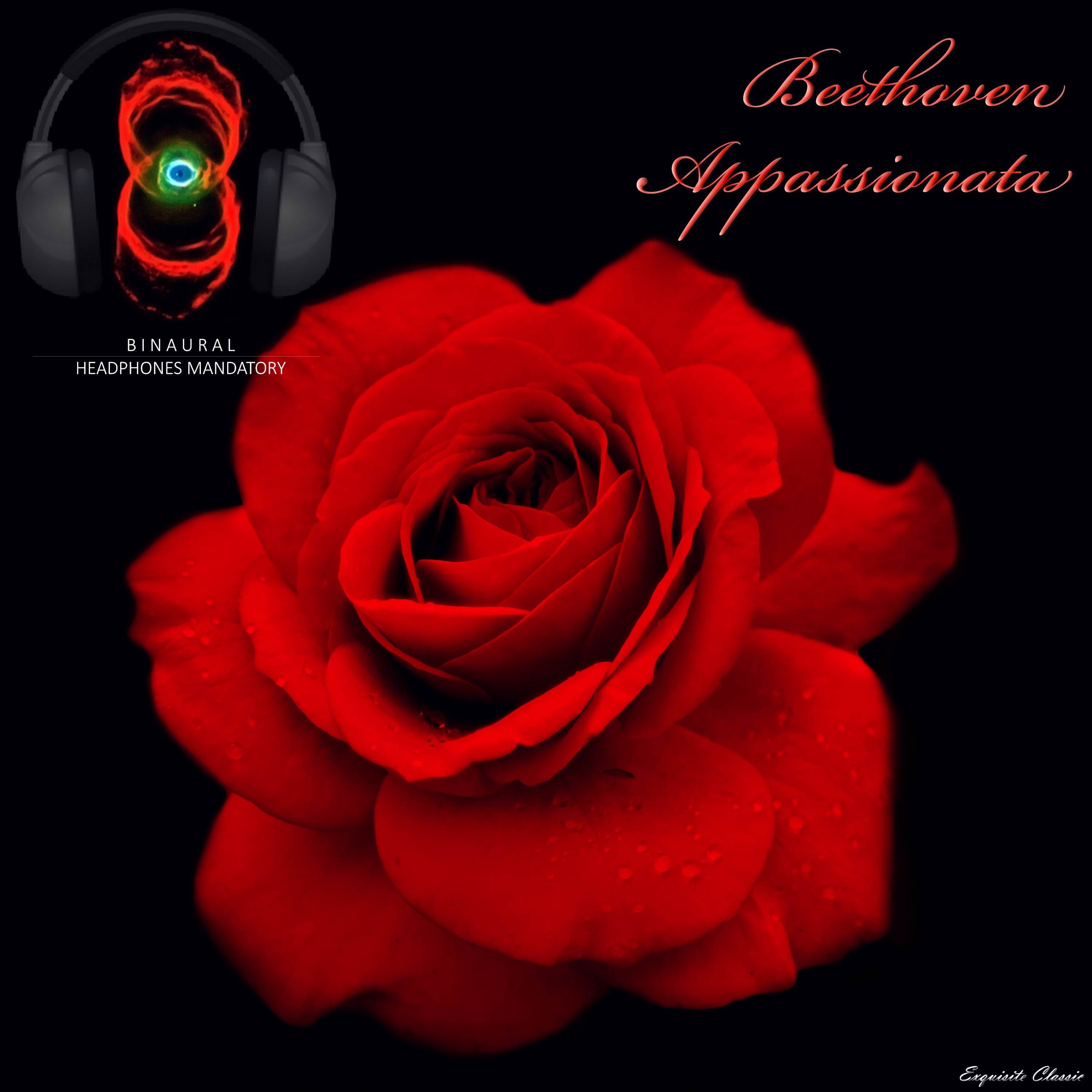 Piano Sonata no. 23 in F minor 'Appassionata', Op. 57 - Ludwig van Beethoven (3D Sound - Headphones mandatory for the best experience)