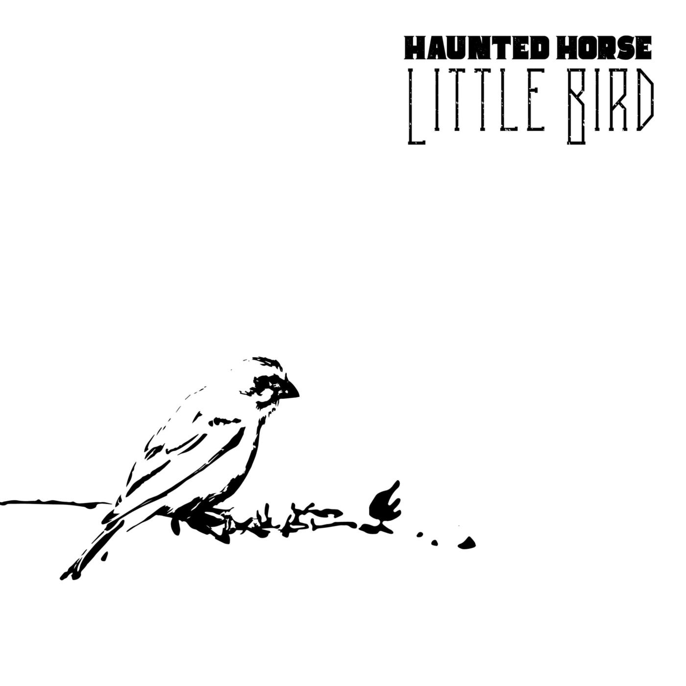Little Bird