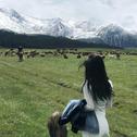 我这样死板的山 竟会为你哗然