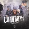 Dvasto - Cowboys