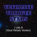 Enrique Iglesias feat. Pitbull - I Like It (Vocal Melody Version)专辑