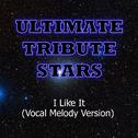 Enrique Iglesias feat. Pitbull - I Like It (Vocal Melody Version)专辑