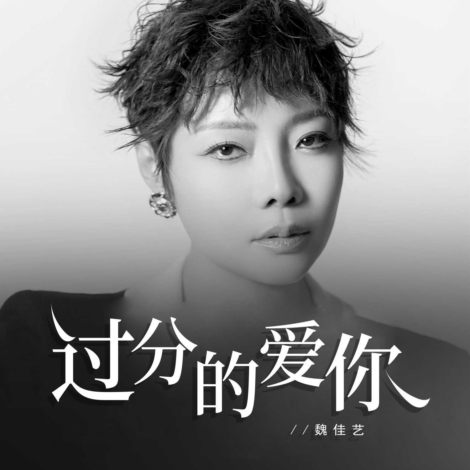 魏佳艺歌曲封面