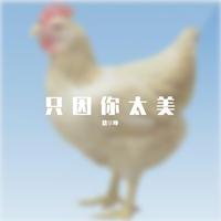 开心蛙蛙 - 鸡蛋(伴奏).mp3