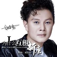刘金勇 - 为什么互相折磨(原版伴奏)