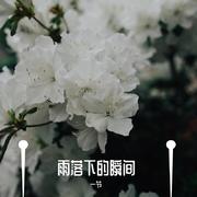 雨落下的瞬间