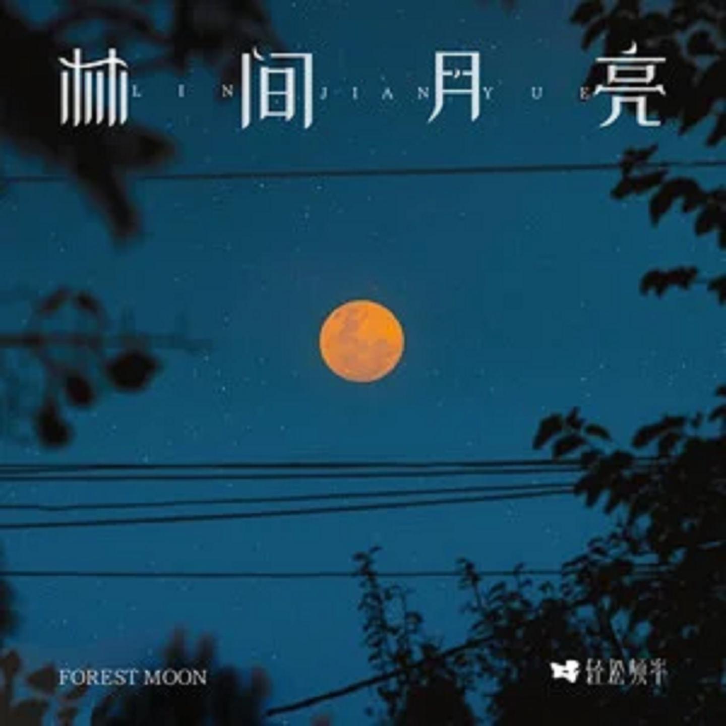 林间月亮