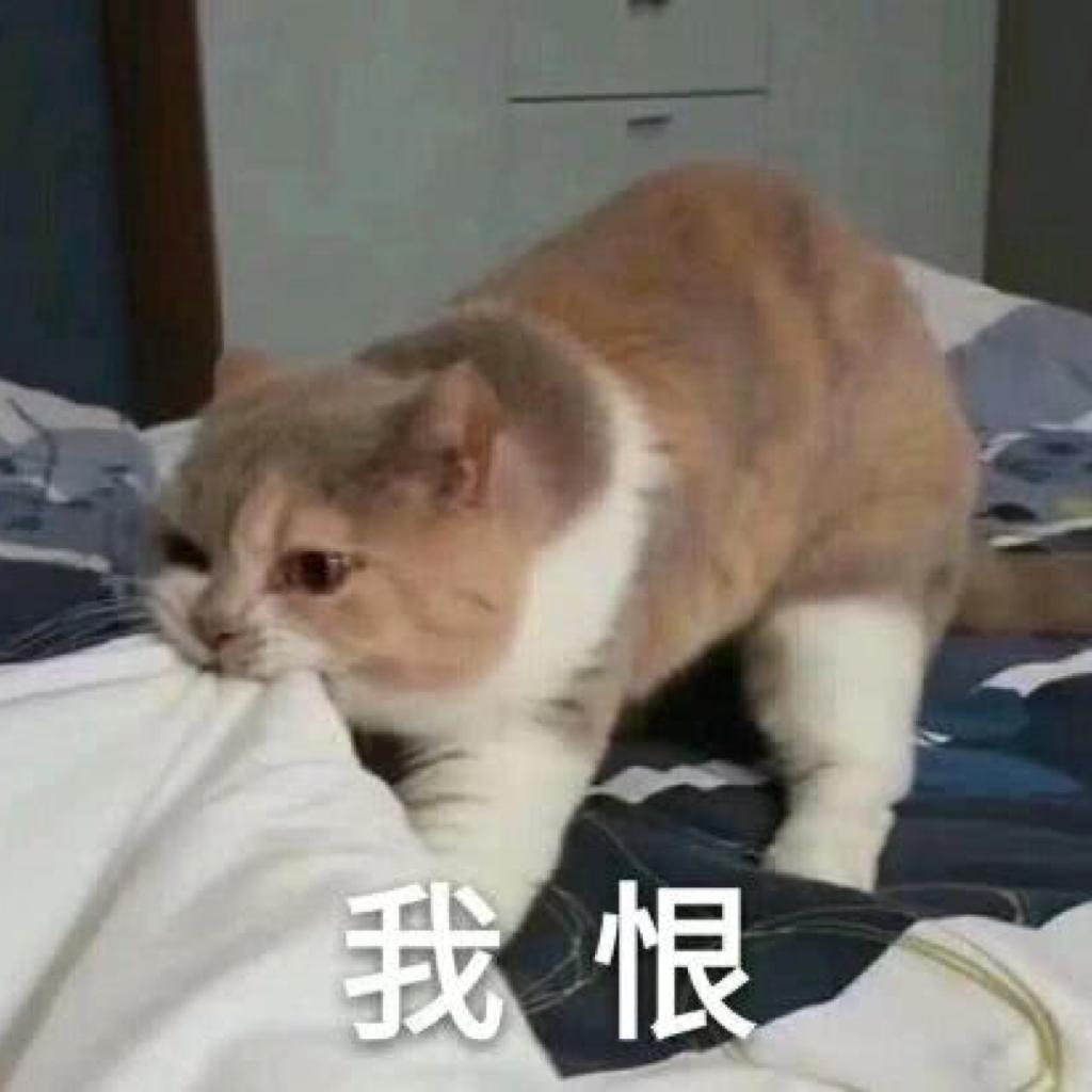 刷作业单 （核、黑、死、敲、前卫等）