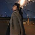 似情绪体质.专辑