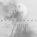 MONOCHROME 2곡专辑