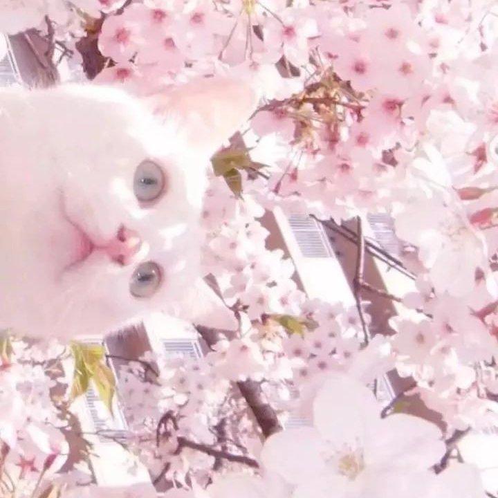 温柔慢歌‖偏治愈~