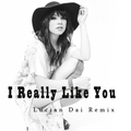 I Really Like You（Lucian Dai Remix）