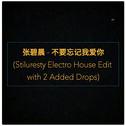 不要忘记我爱你 (Stiluresty Electro House Edit)专辑