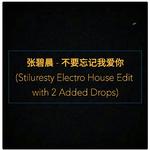 不要忘记我爱你 (Stiluresty Electro House Edit)专辑