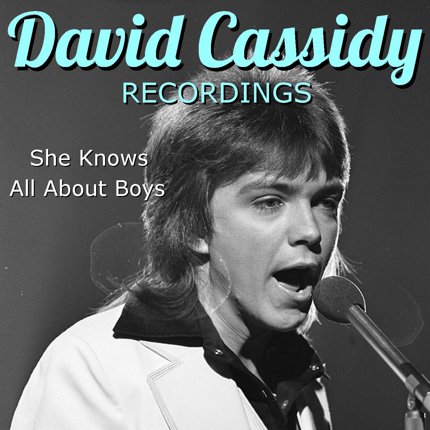 David Cassidy - Darlin' (Live)