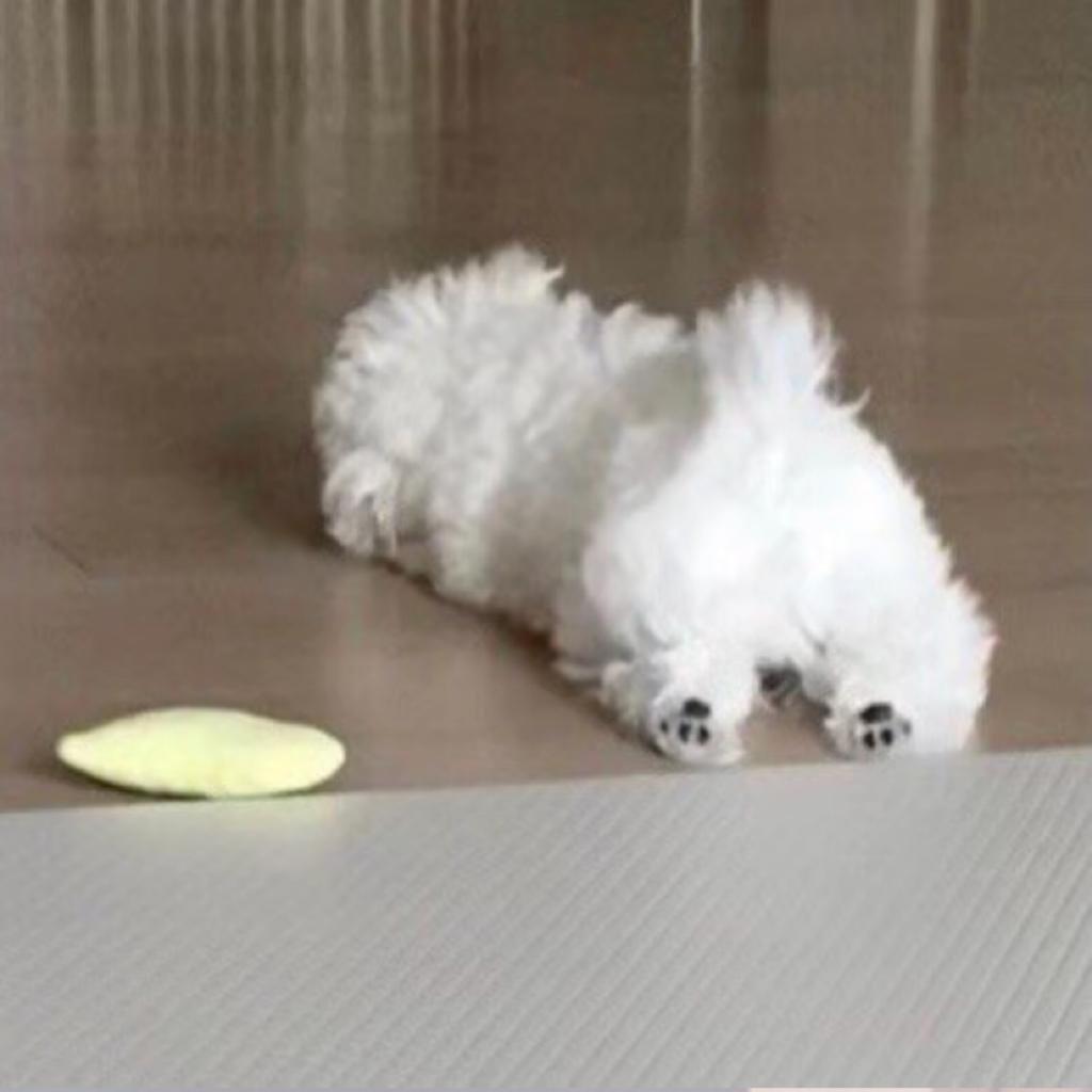 听了这个歌单好运加倍