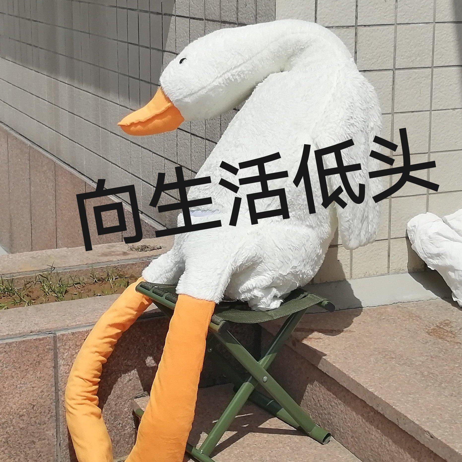 【DJ】土到极致便是潮
