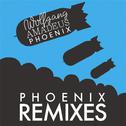 Wolfgang Amadeus Phoenix (Remix Collection)专辑