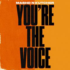 You're The Voice