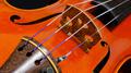 violin专辑