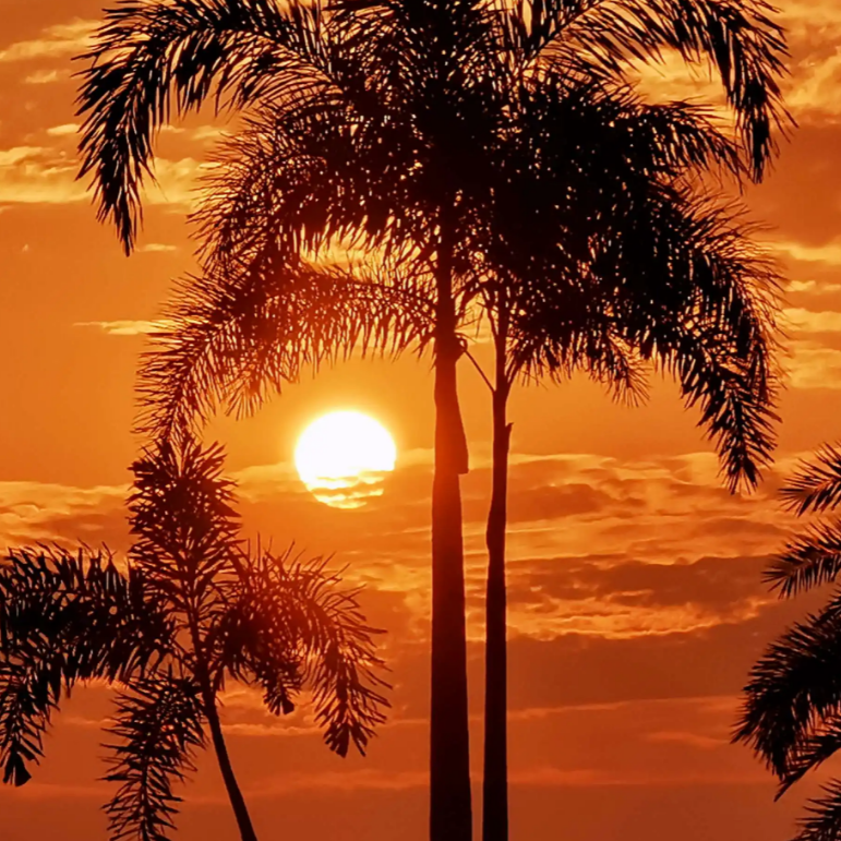 I Took A Pill In Ibiza[Slowed]